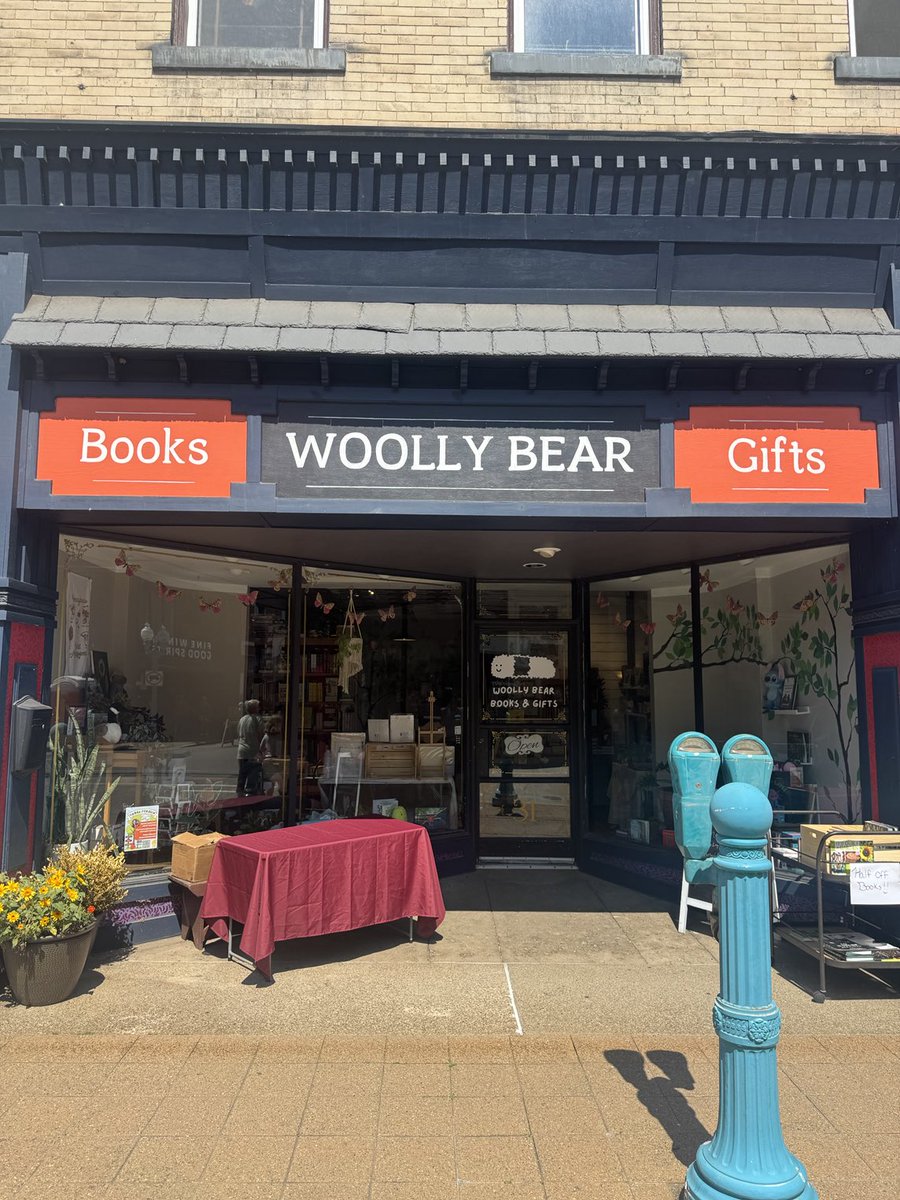 Thanks to Woolly Bear Books in Carnegie for hosting me yesterday. There are still a few signed copies of my book, The Door in the Stone, at the shop. Thanks to those who purchased a copy, and it was great to see people going into the bookshop to buy other books. Keep reading!