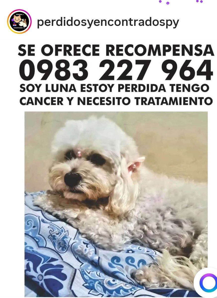 Atención zona Lambare  4 Mojones, si le viste por favor avisa a su Familia.  Se agradece compartir
