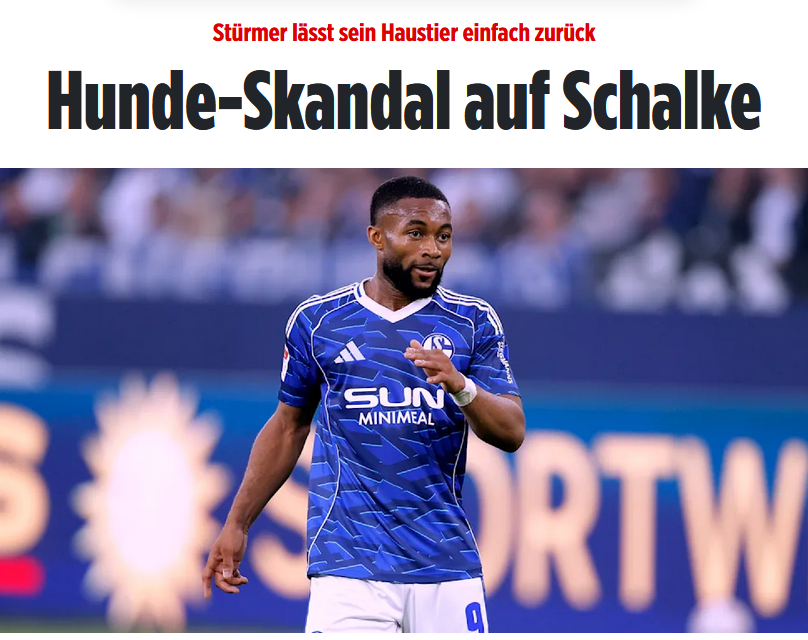 Mike Hanke hat damals seinen Hund einfach überfahren, da ist das doch schon mal ein Fortschritt.