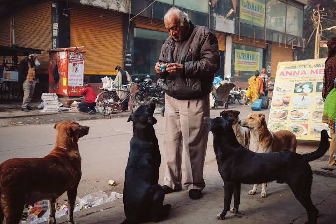 If loyalty had a face, it’d have fur and a wagging tail. No #StrayDogs = no random furry friends joining your morning chai break.
