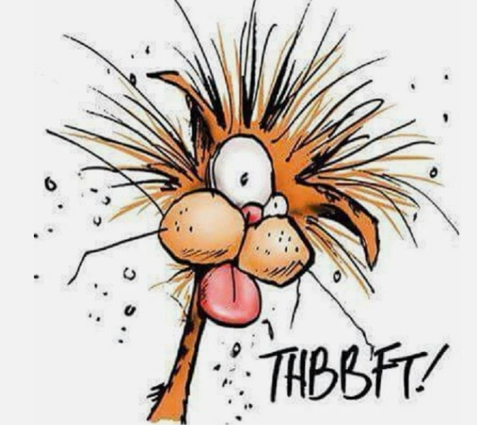 Miller Lowe tweet media