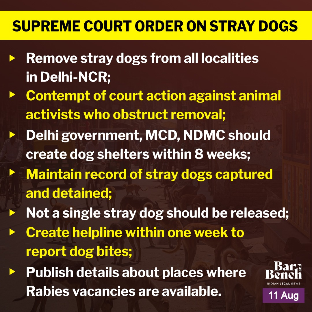 ShivolShashank's tweet photo. Make this mandate throughout the country. Remove each and every one of the stray dog. They're such a menace to our society. 

#straydogs https://t.co/w2r930sFOH