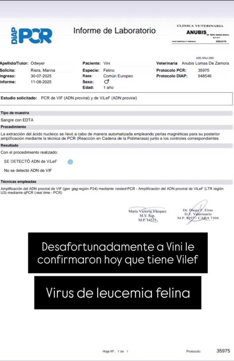 Por favor 🙏 si no pueden colaborar ayuda difundiendo !
Tu RT ayuda muchísimo