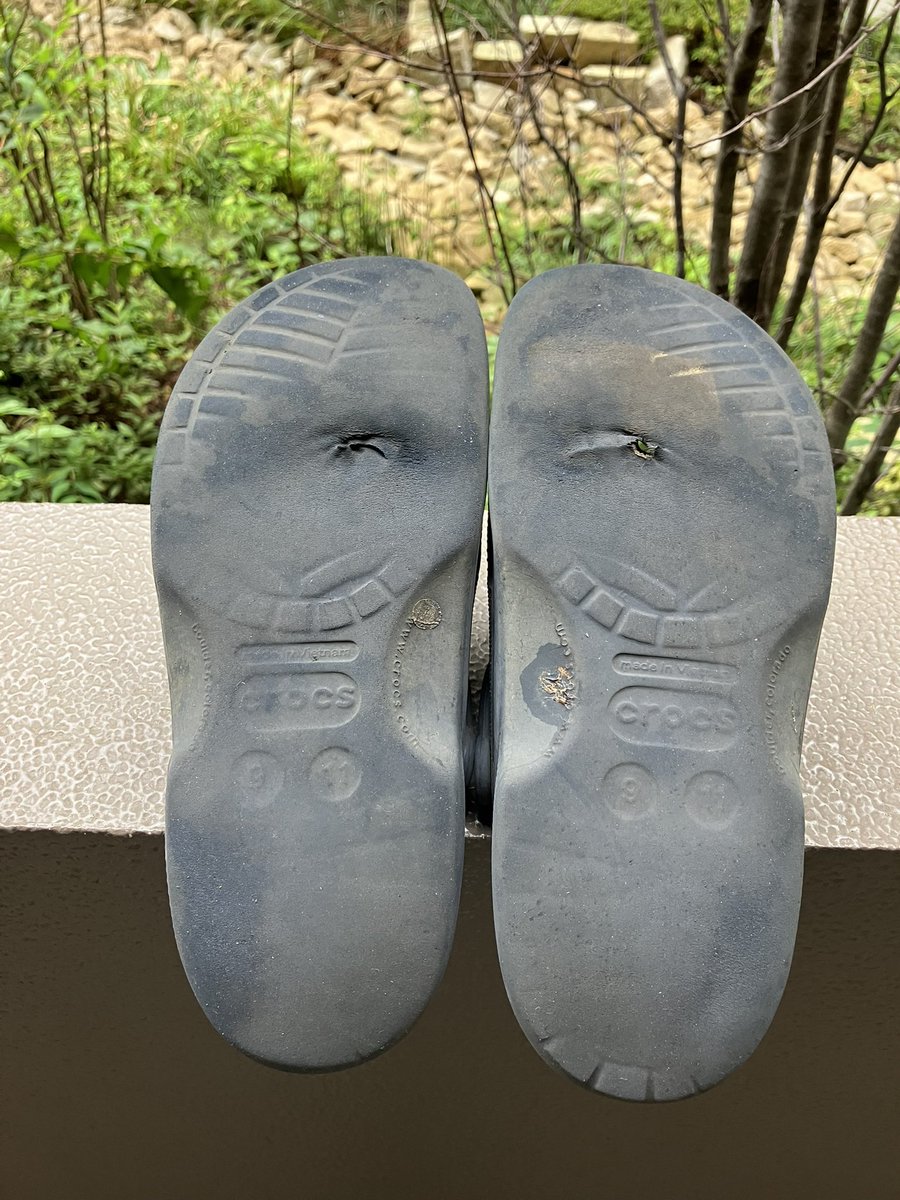 hanadanmori's tweet photo. (井上陽水さんの少年時代にのせて)

クロックスのあるある言いたい

クロックスのあるある言いたい

クロックスのあるある言いたい

底に穴開くと 足めっちゃ汚れる https://t.co/oEbWJ7oHLX
