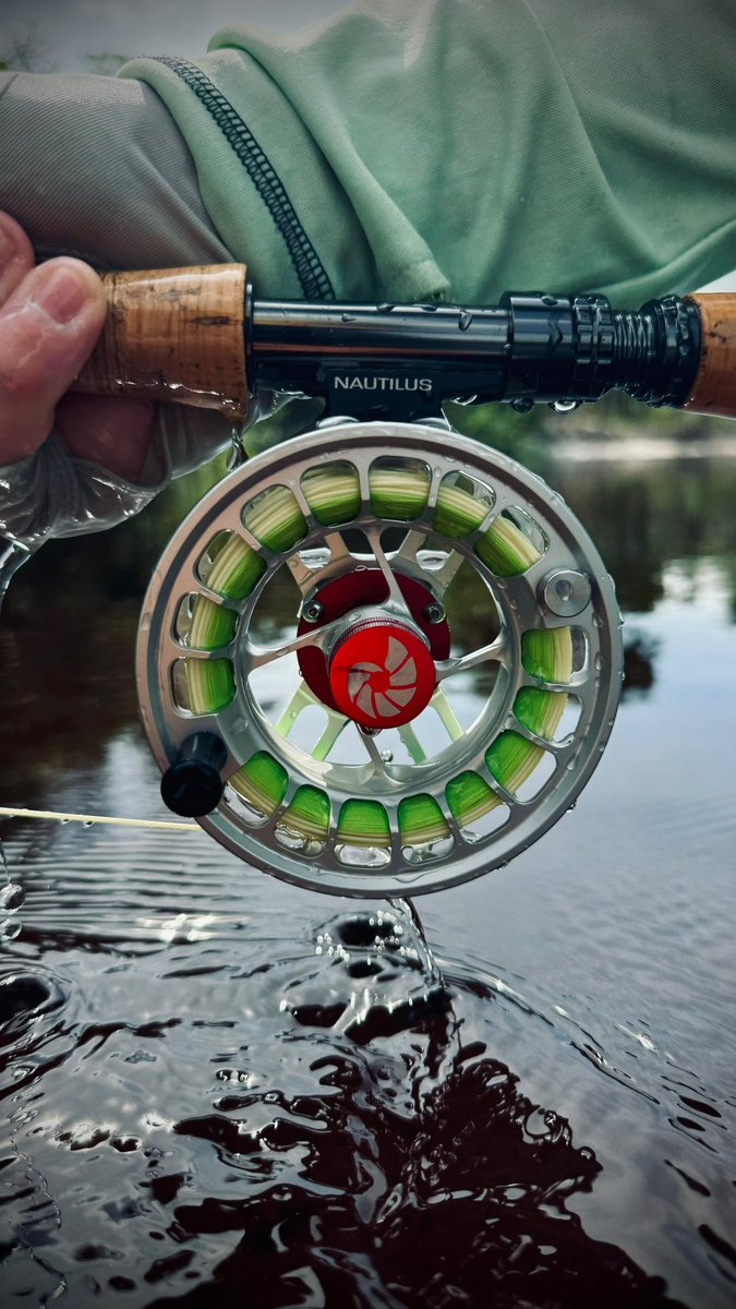 Nautilus Reels tweet media