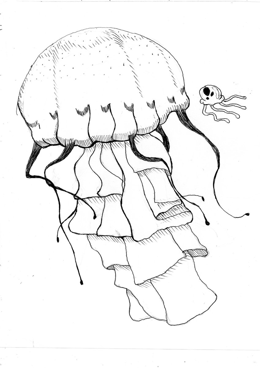 Birds_Nest01's tweet photo. This student was often very quiet, but I could see a deep interest in science and understanding within them. They are kind and considerate, unique in many ways. They always asked for Marine animals, like this Jellyfish.
#jellyfish #animaldrawings #illustration #sketchart https://t.co/uIOcR2OYbT