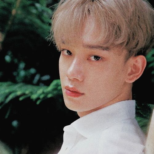 anime                          real life