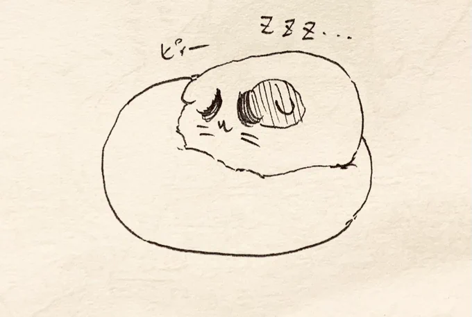 今日は休み🐱 