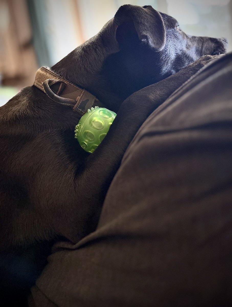 Hugging her toy while looking out the window 🥰