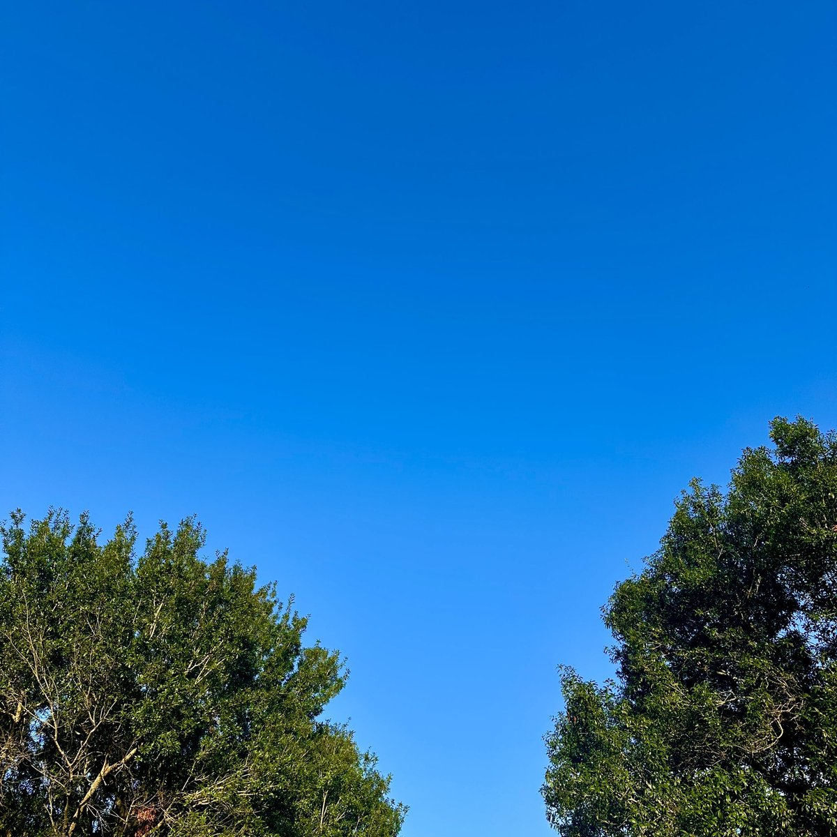 is this so much to ask for? Sundown with a normal blue sky rather than pinks and purples and weird chemical rainbows?!