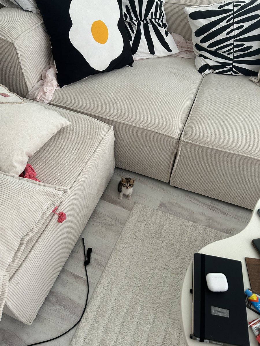 Ben küçük 1 bokum