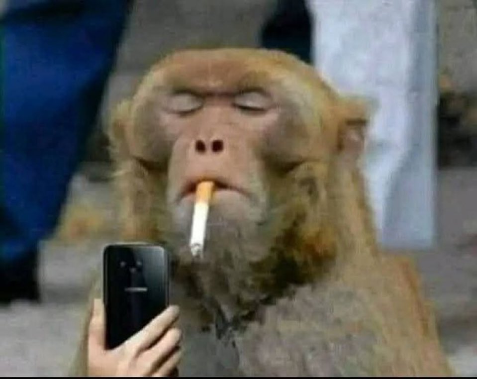 Tw Valencia mañana mirando Twitter para ver si al final hay grada de animación: