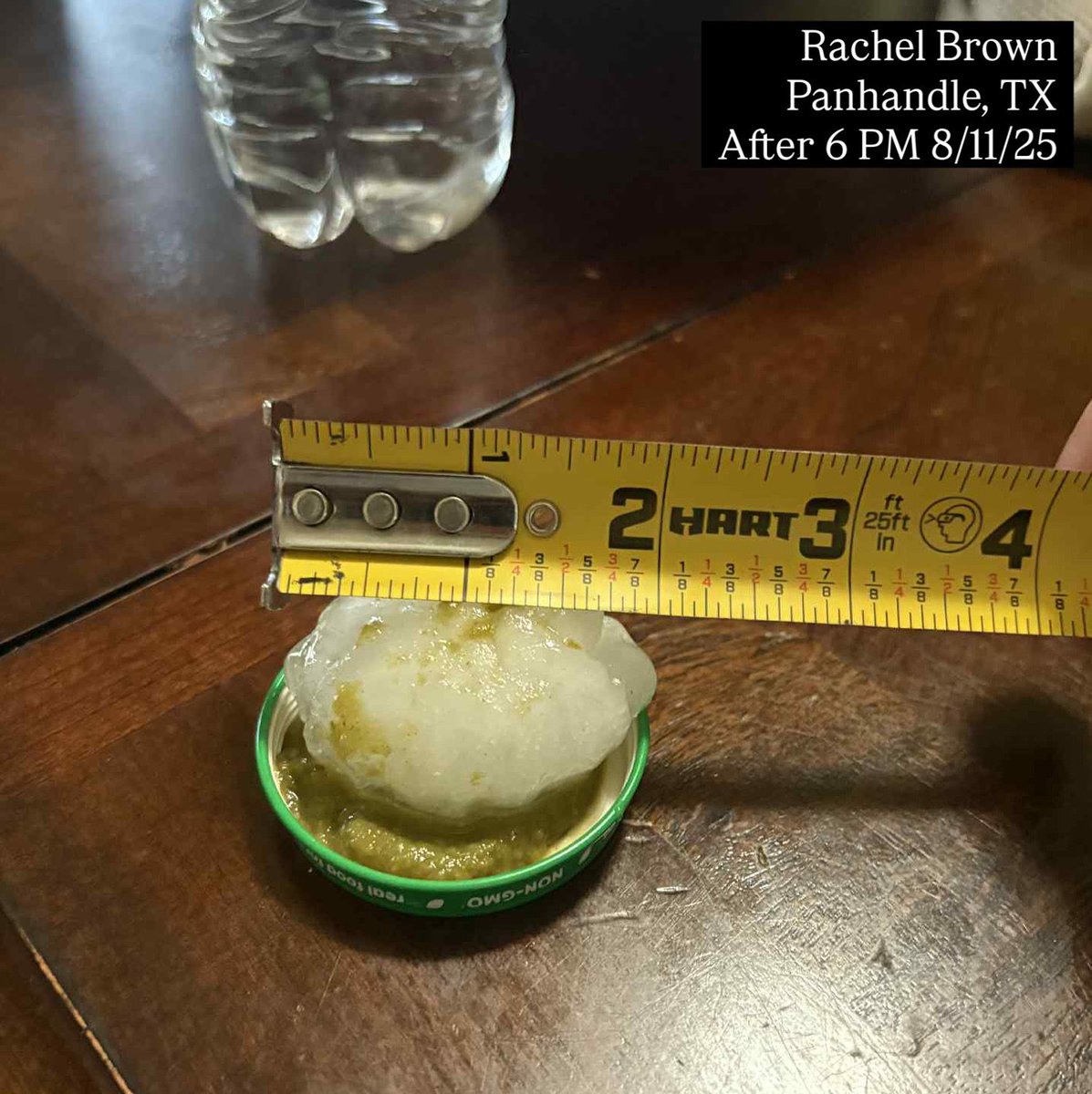 TxStormChasers's tweet photo. Two inch hail was measured in the town of Panhandle, TX not long ago this evening August 11th. Thanks to Rachel Brown for the photo permission. 

#texas #txwx #storm #weather #severe #hail https://t.co/MQJTPYGBuH