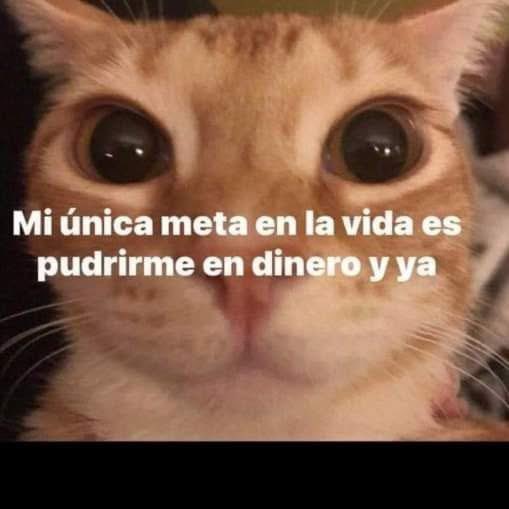 Cuando muera pongan mis cenizas en un reloj de arena para que después de muerto siga chambiando