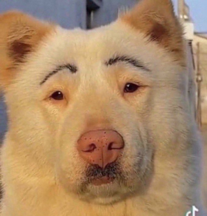 إذا ارسلت متابعة لناس المعنية وسحبوا علي