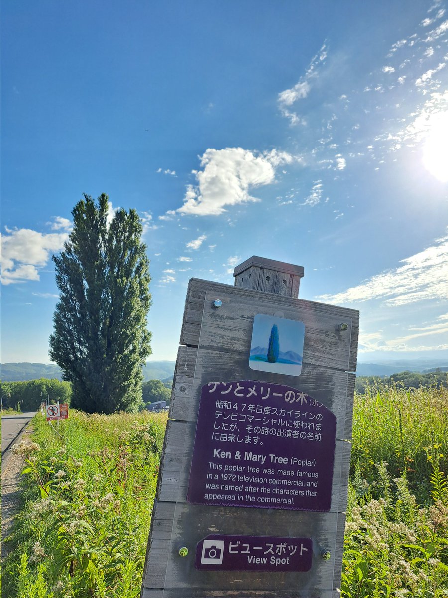 北海道旅行で念願のケンとメリーの木でR31と📸