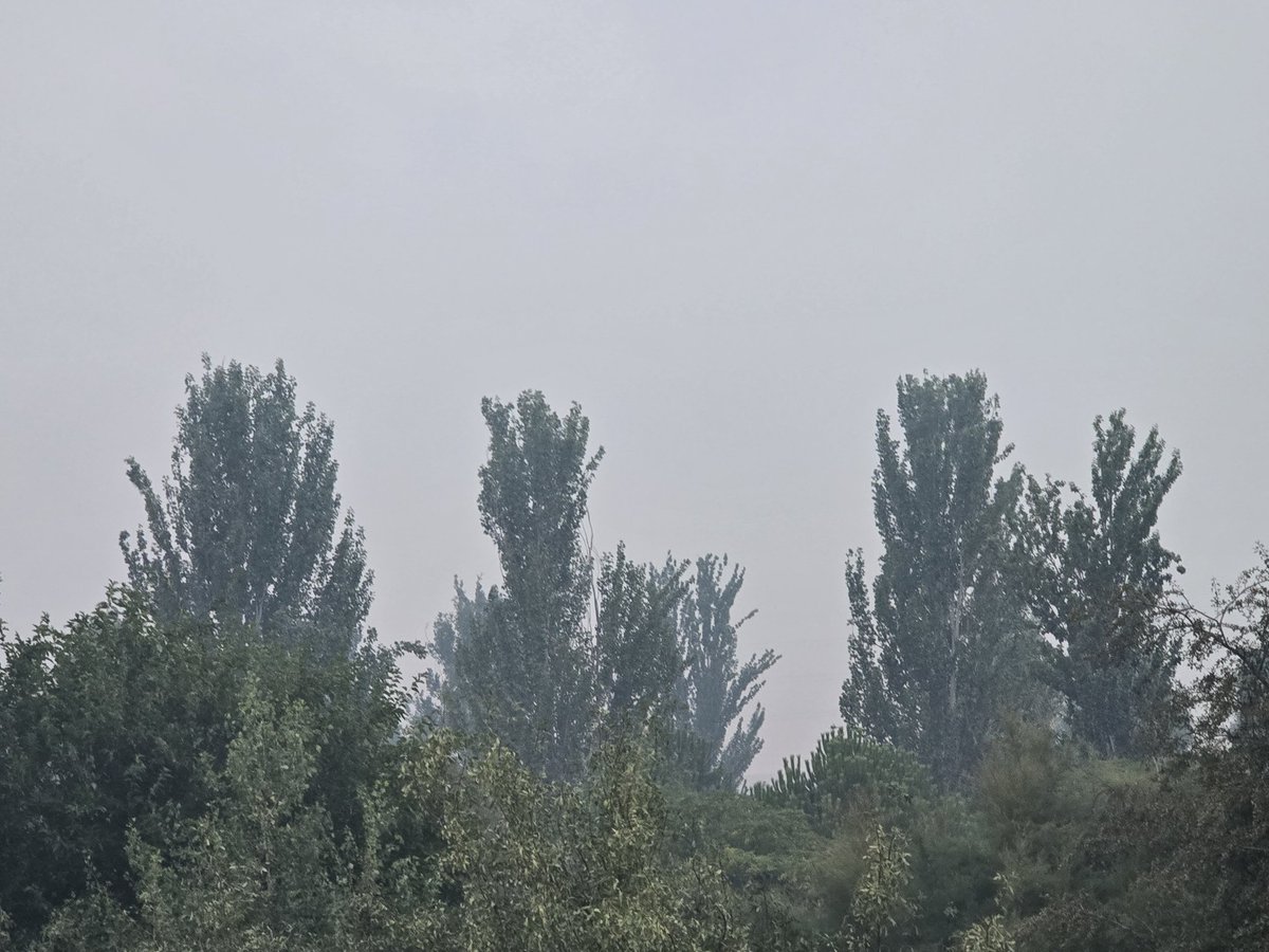 En estos momentos, el <a href="/112cmadrid/">112 Comunidad de Madrid</a> han activado la situacion operativa 2 del Plan contra incendios  por el incendo de pastos y forestal que se ha declarado en Tres Cantos. Se recomienda en lo pos8ble no inhalar el humo o el uso de mascarilla.
#SomosParteDeTi.