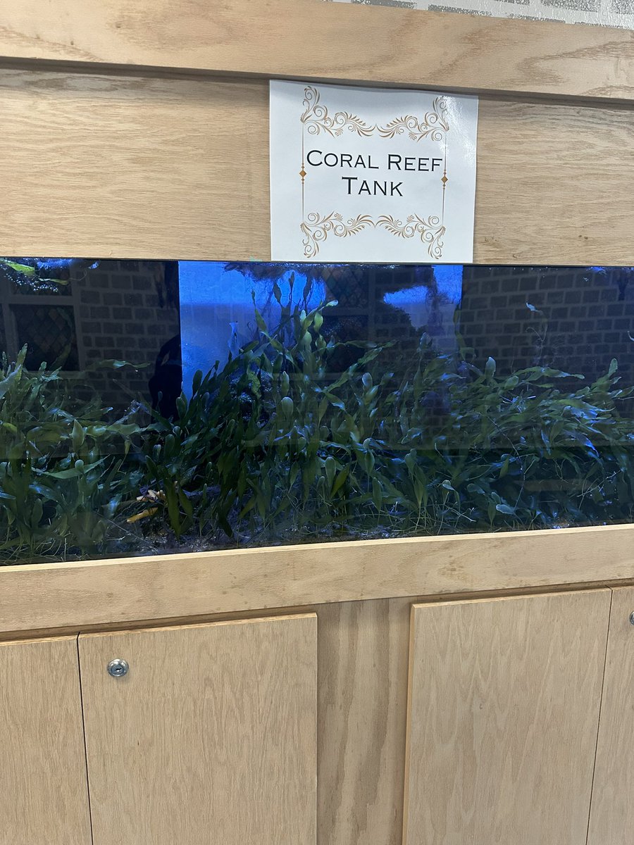 Collins07 (@collins077) on Twitter photo The students were SUPER EXCITED for their first day back to school at DD Eisenhower Elementary. <a href="/pbcsd/">The School District of Palm Beach County</a> WELCOME BACK!! Thanks Dr. Battles🍎the ENERGY was CONTAGIOUS🏫. #learningisfun📚🚌📓 The students were SUPER EXCITED for their first day back to school at DD Eisenhower Elementary. <a href="/pbcsd/">The School District of Palm Beach County</a> WELCOME BACK!! Thanks Dr. Battles🍎the ENERGY was CONTAGIOUS🏫. #learningisfun📚🚌📓