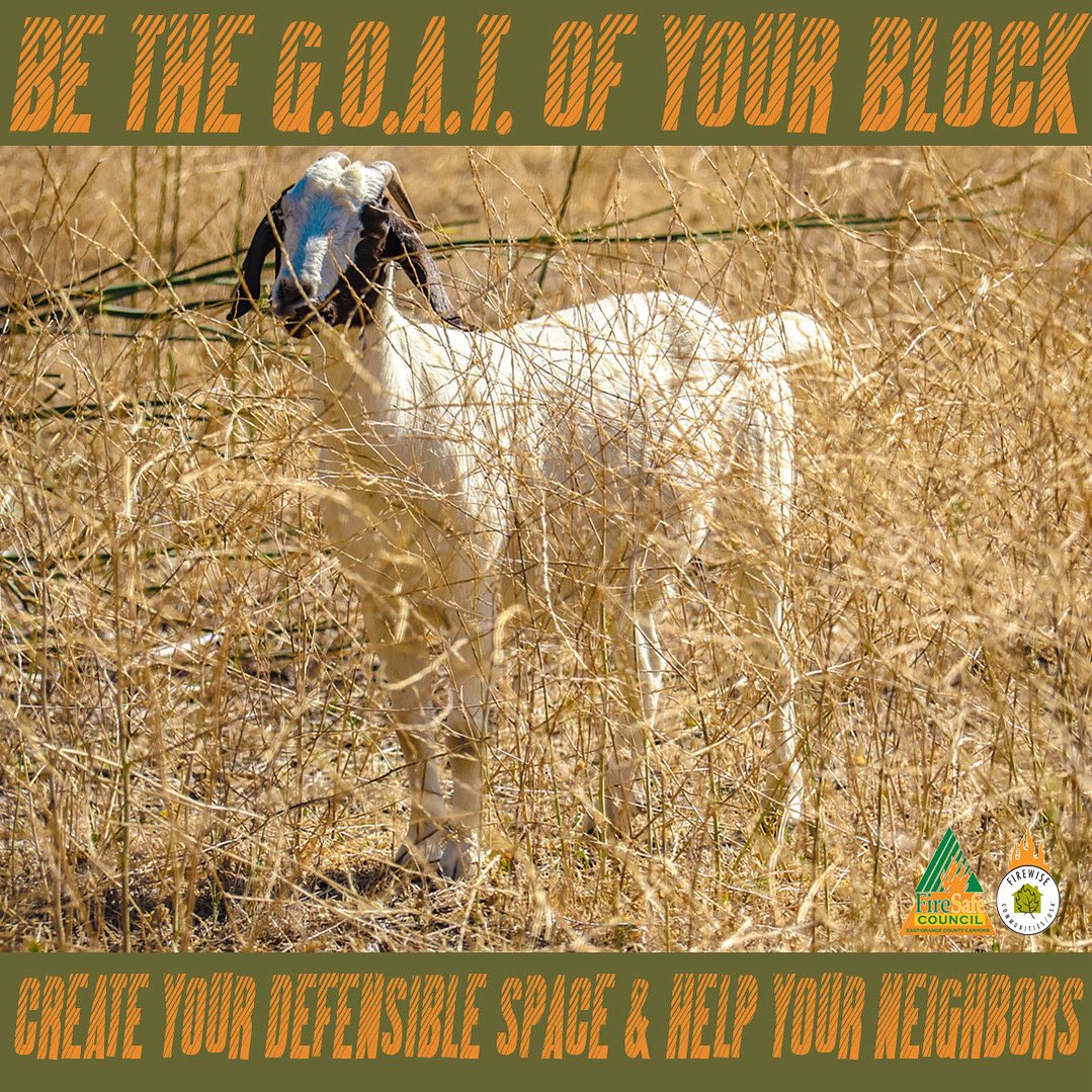 fsceocc's tweet photo. 🔥🐐 Be the G.O.A.T. of wildfire safety! Clear your defensible space, protect your home, and inspire your neighbors to do the same. #WildfirePrep #DefensibleSpace #FireSafeCommunity https://t.co/w1SVlHgqGZ