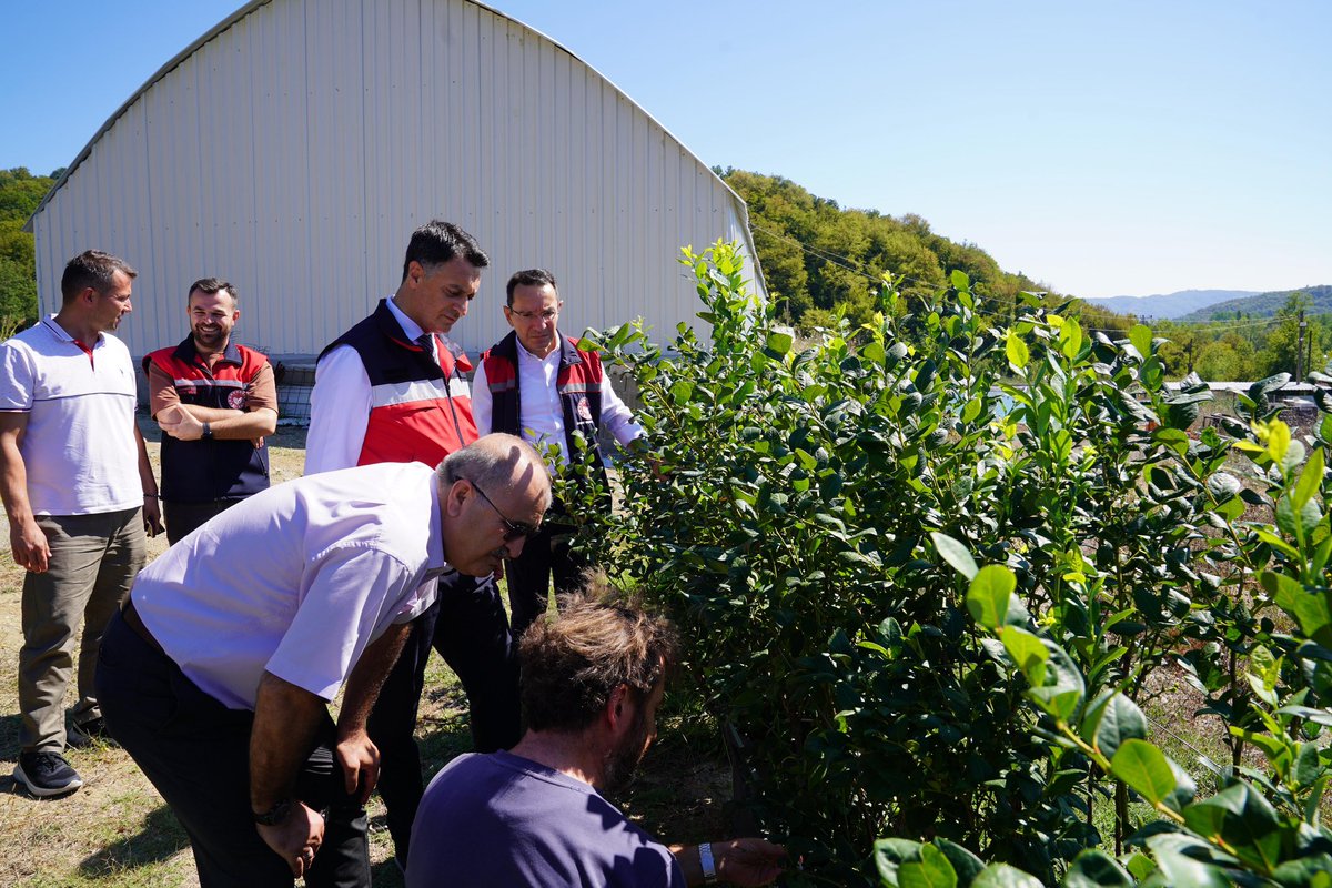 ⏩️ ZİYARET (Yaban Mersini Bahçesi🫐 )

İl Müdürümüz Sn. Nihat Ağan ve Bartın İl Tarım ve Orman Müdürü Sn. Murat Türkmen, Zonguldak-Bartın sınırında yer alan İbrahim Aldıraklı'ya ait yaban mersini bahçesini ziyaret etti.

<a href="/TCTarim/">T.C. Tarım ve Orman Bakanlığı</a>
<a href="/ibrahimyumakli/">İbrahim Yumaklı</a>
<a href="/TC_Zonguldak/">Zonguldak Valiliği</a>
<a href="/Agan7174/">Nihat Ağan 🇹🇷</a>