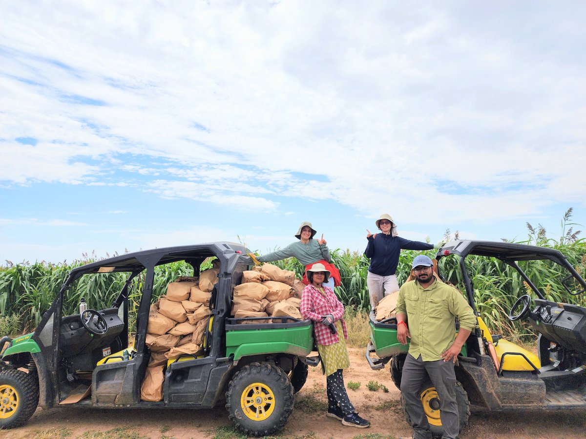 Saini DK tweet media