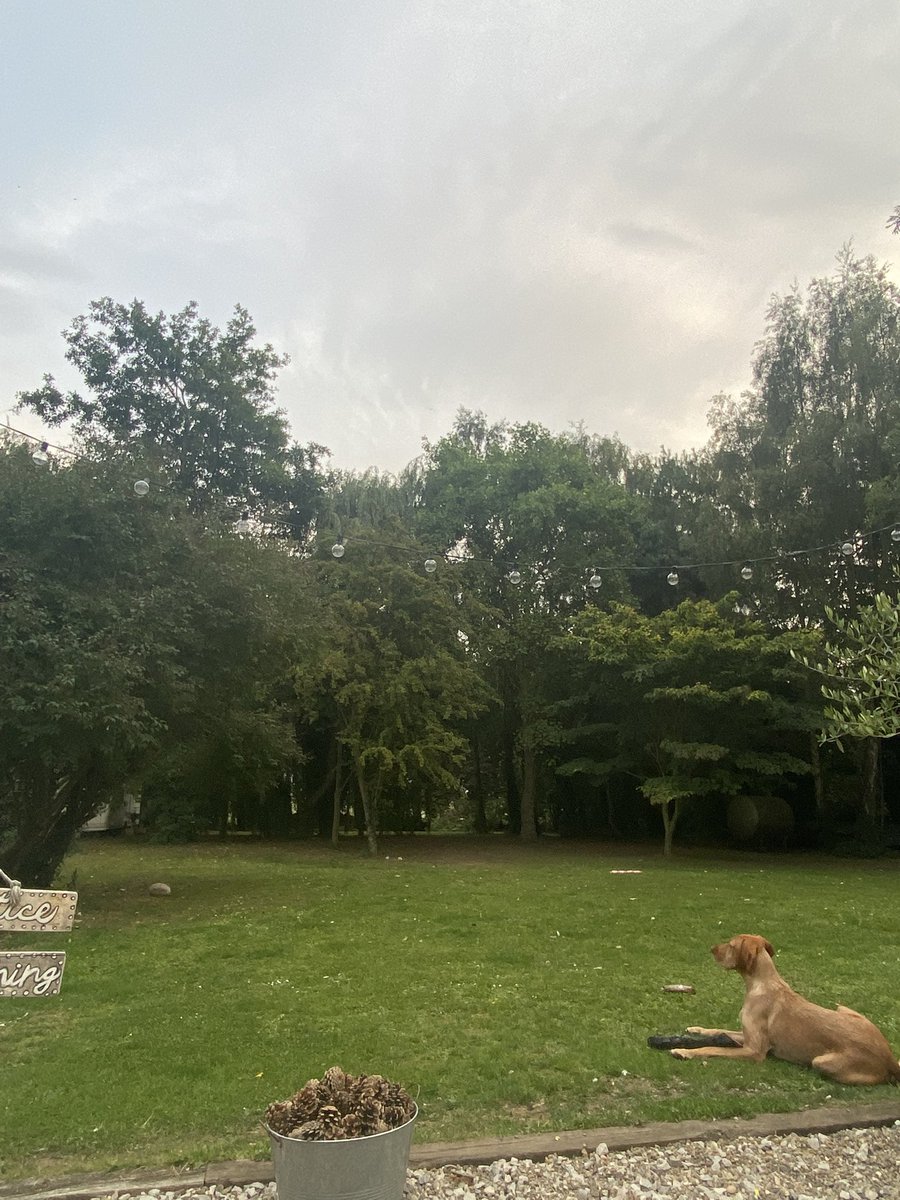 These are the surroundings I’m currently in &amp; surrounded by open fields. Our neighbour is in similar surroundings with meditation  music &amp; instructions playing very loudly. 
How the fuck can you be that disconnected from nature?