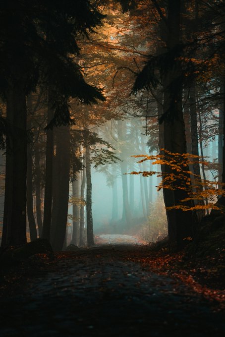 Photography by Jan Kopřiva