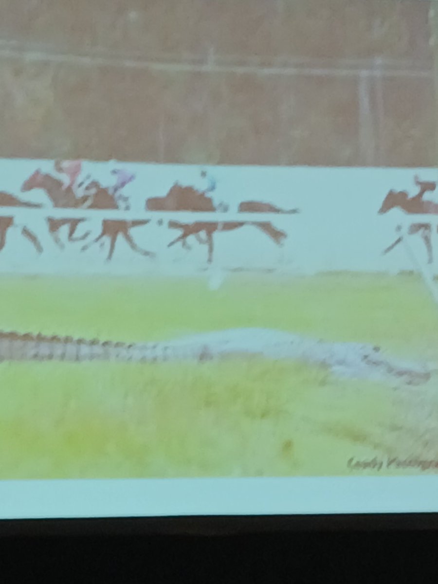 EquineInfoEx's tweet image. Alligator racing in Louisiana? Apparently, there&apos;s one that lives in the infield. No word if he&apos;ll be entered for a tag! #RGCS @SpectrumGamingG