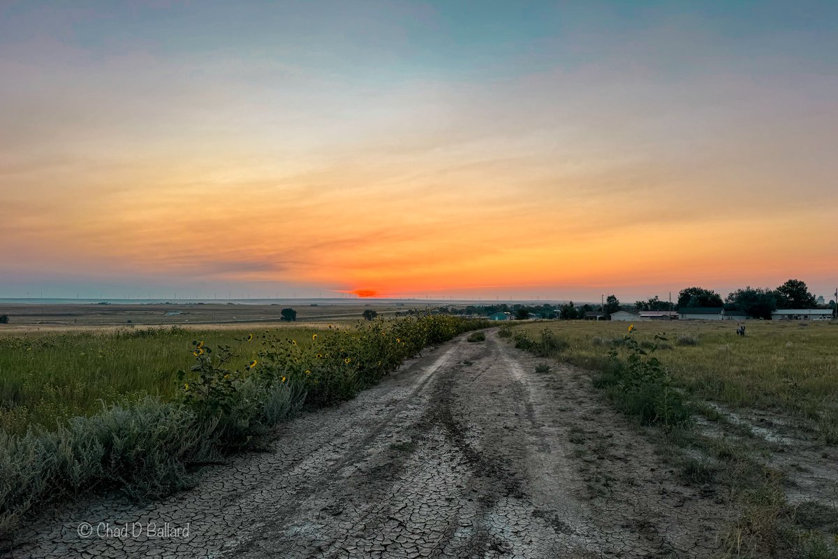 c65db's tweet image. 