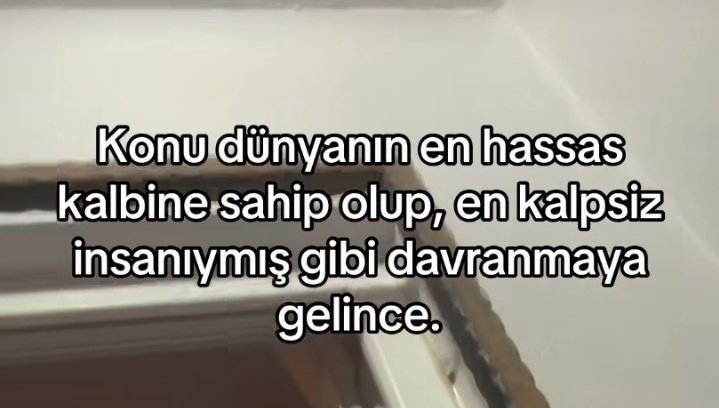 ezgi (@bisalsanbee) on Twitter photo 