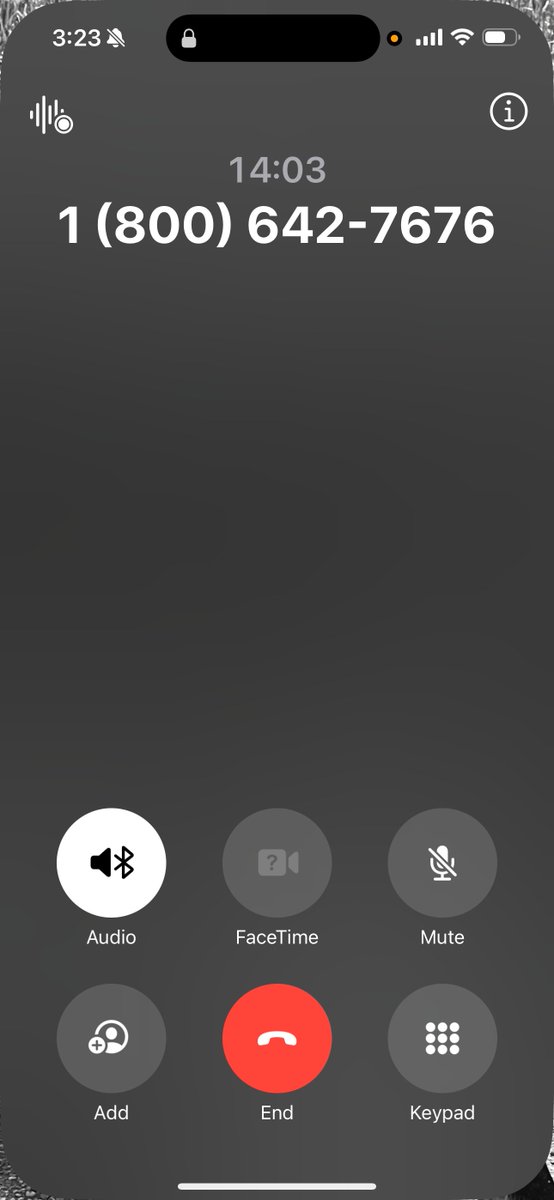 XessTranslator tweet media