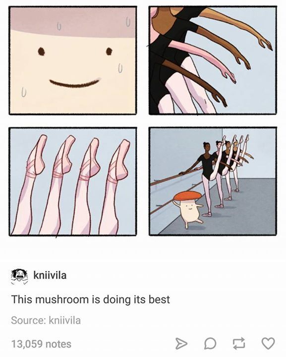 WholesomeMeme's tweet photo. https://t.co/HhQQTP6DPR