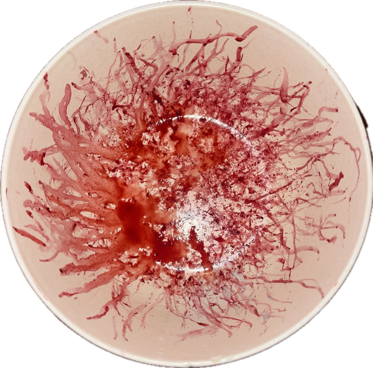MBOatsy's tweet image. My son took hours creating this beautiful work of art in a bowl, stroke by careful stroke.

Or he just ate some frozen blackcurrants and this is his bowl.
