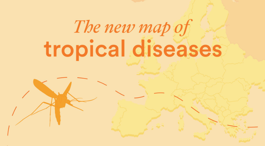 ISGLOBALorg's tweet photo. 🦟 Europe is facing the arrival —and even endemicity— of #TropicalDiseases such as #dengue and #Zika.
Jose Muñoz (#ISGlobal, @hospitalclinic, @saviclinicbcn) calls for surveillance systems based on international travel and #AI, and 📲#FAMBA is a good example.
🟠 https://t.co/hzchLDSC6S
#GlobalHealth