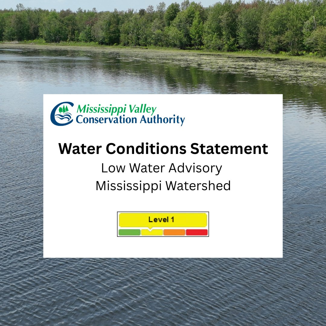 WATERSHED CONDITIONS STATEMENT – MISSISSIPPI RIVER WATERSHED - LOW WATER LEVEL I – August 11, 2025. For more information visit: mvc.on.ca/low-water-stat…