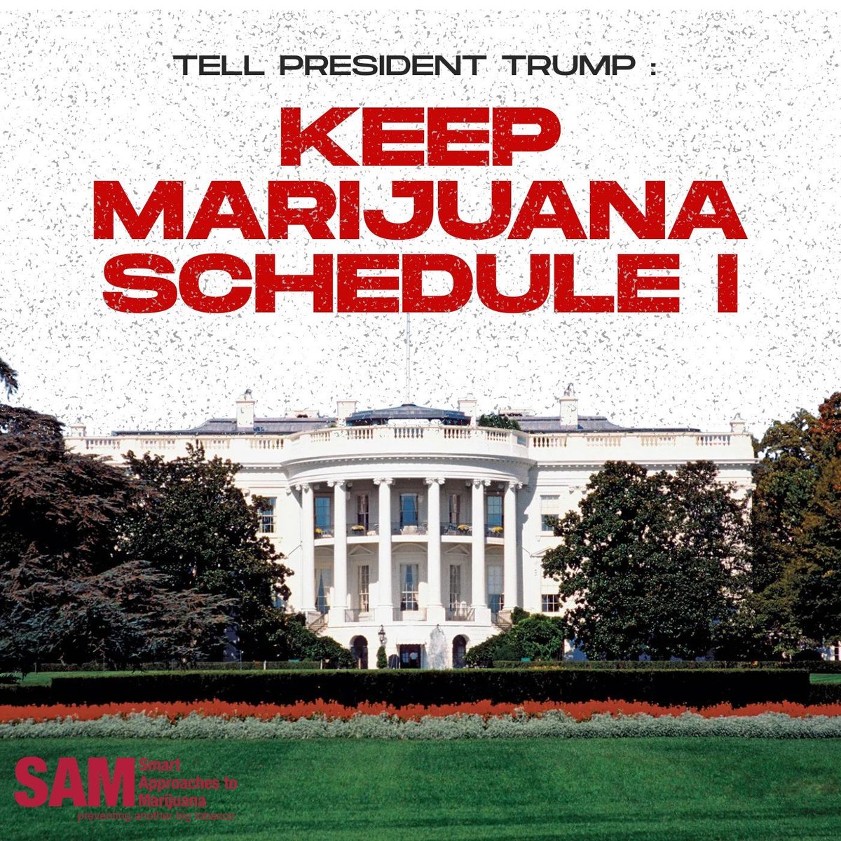 Mr. President: Fighting violent crime and rescheduling marijuana to Schedule III don’t mix. It would embolden cartels, expand black markets, and worsen crime in our cities. Keep marijuana Schedule I. <a href="/DEAHQ/">DEA HQ</a> <a href="/realDonaldTrump/">Donald J. Trump</a> <a href="/JDVance/">JD Vance</a> <a href="/AGPamBondi/">Attorney General Pamela Bondi</a> @potus