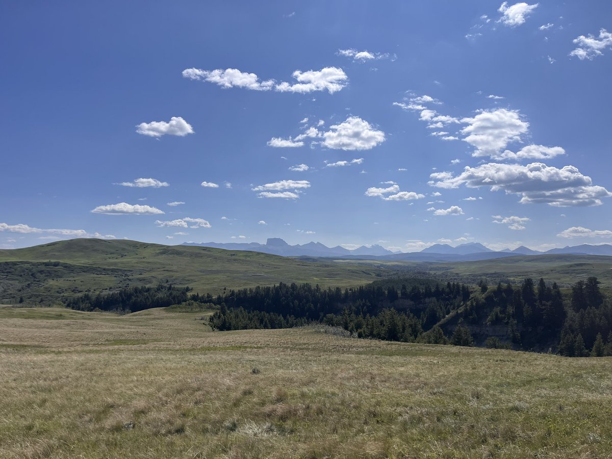 Tonkaty_91's tweet photo. I wish I had this view everyday! #rockymountains https://t.co/nKgS1EQGrW