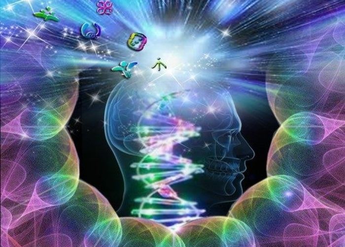 💊#كبسولة_هوليستيك 
#HolisticReset
#Epigenetics🧬
🧬🧬 الثريد الأول من سلسلة #كود_الحياة
🌟كيف غيّر كتاب واحد فهمي
 للصحة والطب والجينات
إلى الأبد❗
👇🏾