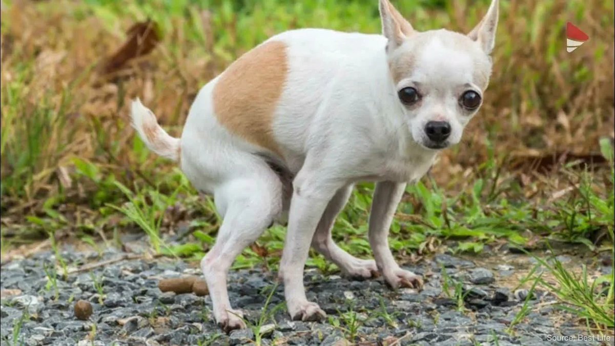 Во///дь™ tweet media