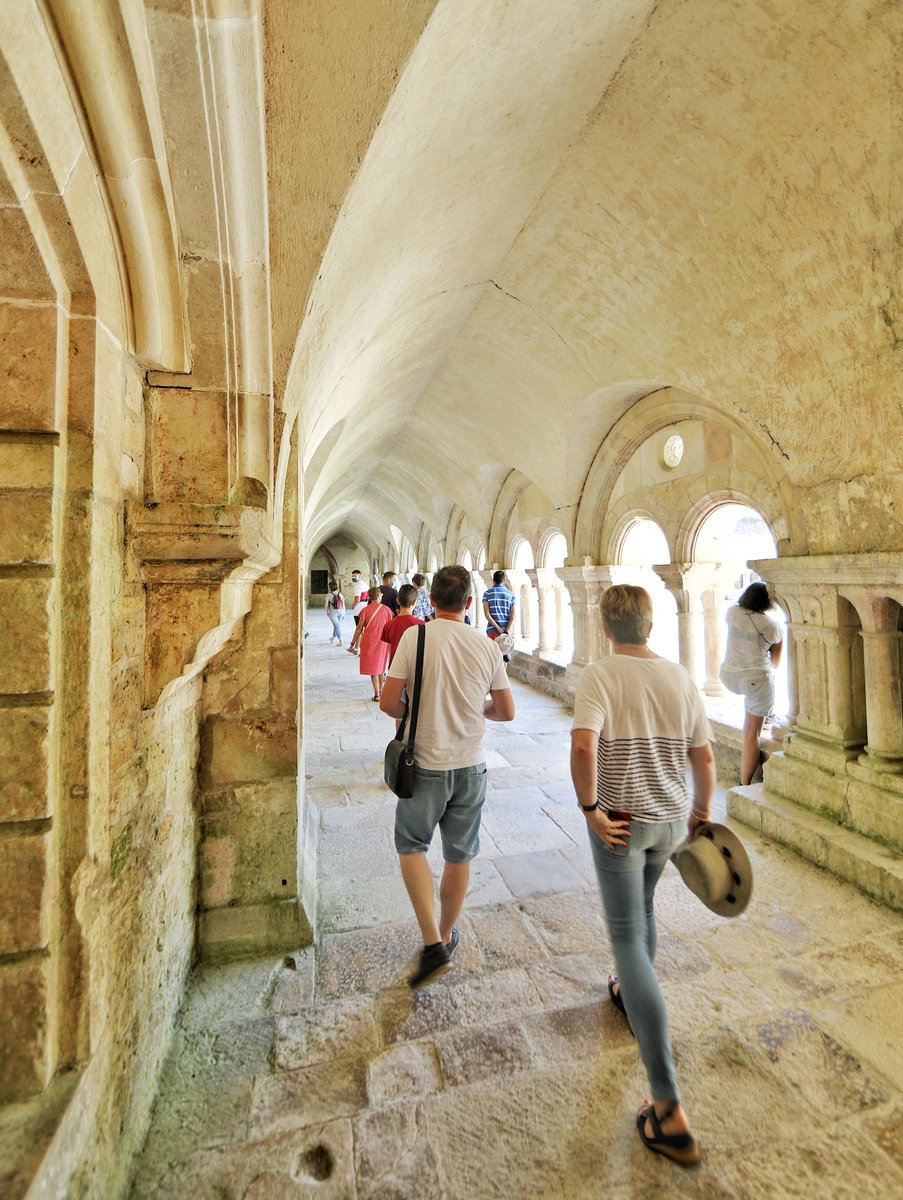 🟢 𝗩𝗜𝗦𝗜𝗧𝗘 𝗙𝗥𝗔𝗜̂𝗖𝗛𝗘𝗨𝗥 🌿 | Les températures sont à la hausse… et si vous veniez vous rafraîchir à l’ombre des pierres de #Fontenay ?

Suivez nos visites guidées, qui vous emmènent à la découverte de l’histoire millénaire de l’abbaye. ✨

🌐 abbayedefontenay.com