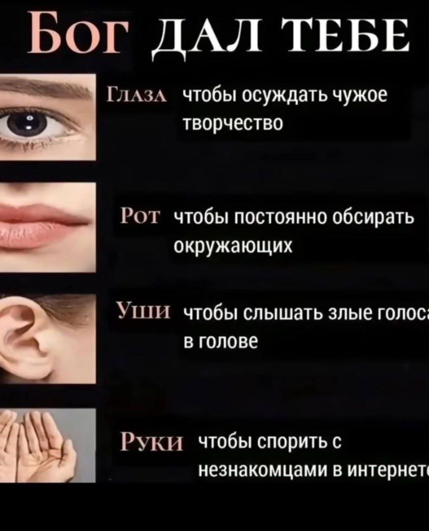 🐸Великое Колено🐸 (@great_knee) on Twitter photo 