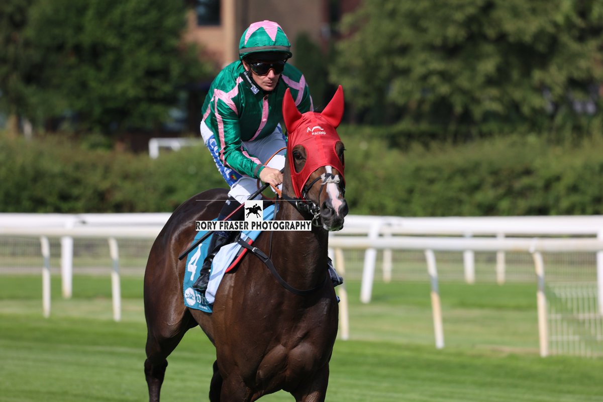 Rory Fraser Photography🤘 (@92roryf) on Twitter photo BRAVE BYREFLECTION (Mohaather x Samuna) at York recently for a class four handicap (7f)
Trained by <a href="/ahaynesracing/">Alice Haynes Racing</a> and owned by W Brookshaw, RRH Equine & A Haynes.
A distant relative to French Gr.3 winner Diamond Vendrome, as well as a two time winner to date. BRAVE BYREFLECTION (Mohaather x Samuna) at York recently for a class four handicap (7f)
Trained by <a href="/ahaynesracing/">Alice Haynes Racing</a> and owned by W Brookshaw, RRH Equine & A Haynes.
A distant relative to French Gr.3 winner Diamond Vendrome, as well as a two time winner to date.