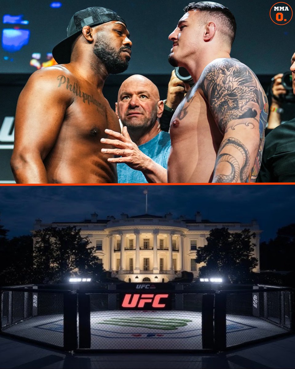 MMA Orbit tweet media