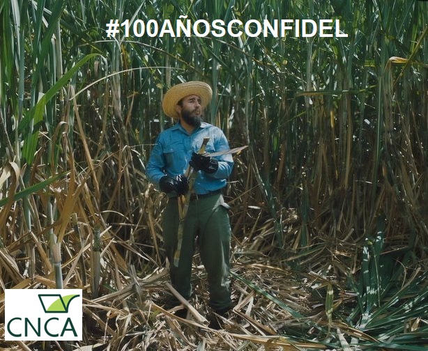 CncaAzcuba's tweet photo. Este 13 de agosto, el @CncaAzcuba y los #Azucareros conmemoran los 99 años del natalicio del líder de la #RevoluciónCubana #FidelCastro Ruz, nuestro invicto #ComandanteEnJefe. #Cuba @GAzcuba #100AñosConFidel #FidelPorSiempre #CNCA #FidelVive #Fidel99 https://t.co/3QkDYhpEhJ