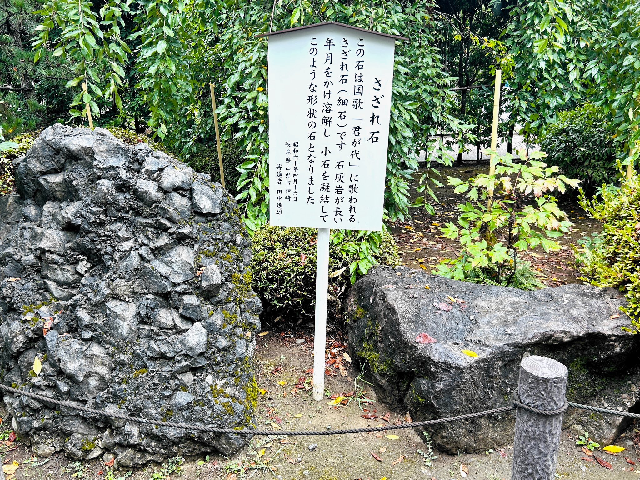 【さざれ石】さざれ岩　君が代　国歌　台座、たて札付き さざれ石】さざれ岩 君が代 国歌 台座、たて札付き さざれ石