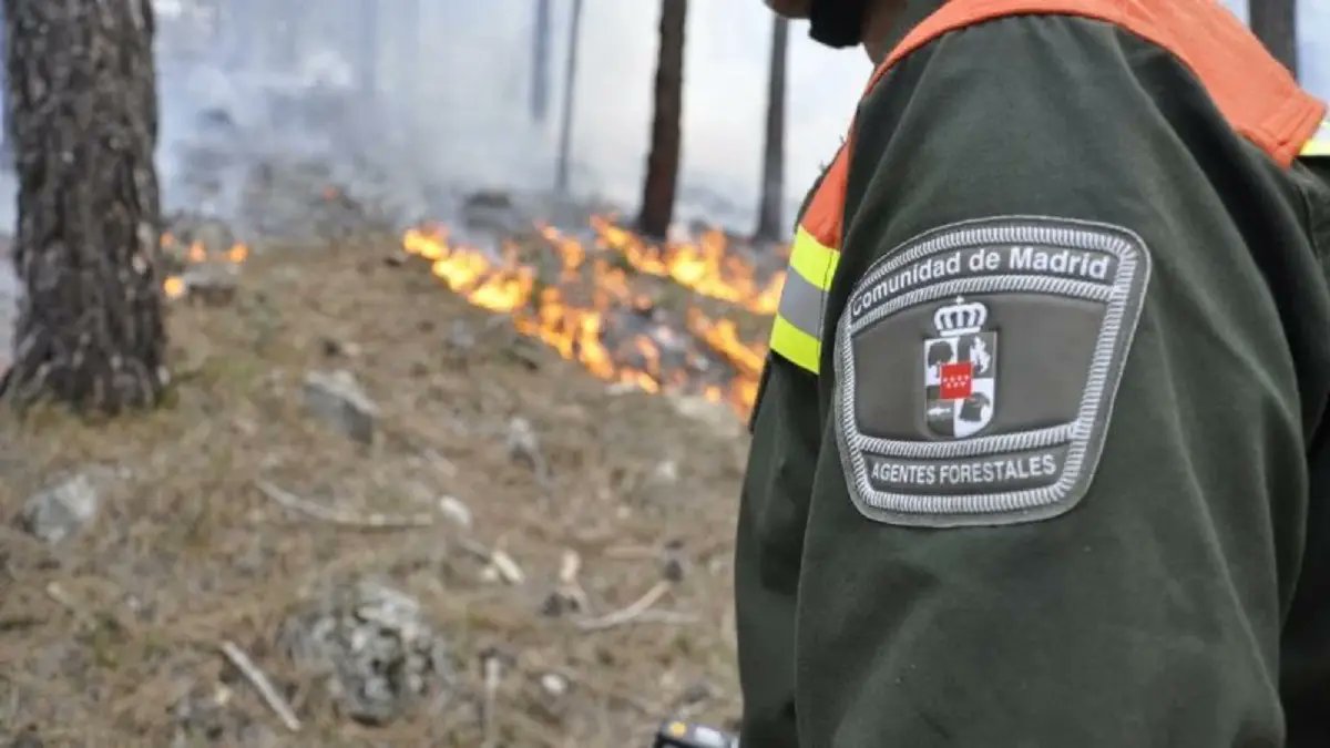 Poliforestal's tweet photo. 💪 FUERZA y ÁNIMO a todos los que se encuentran luchando contra los #IIFF🔥 que asolan el país.
Especialmente a los colectivos FORESTALES, los más abandonados y maltratados:
#BomberosForestales
#AgentesForestales

🔴 Vergonzosa y REPROBABLE gestión política en la mayoría de CCAA. https://t.co/sSJh69t8nU