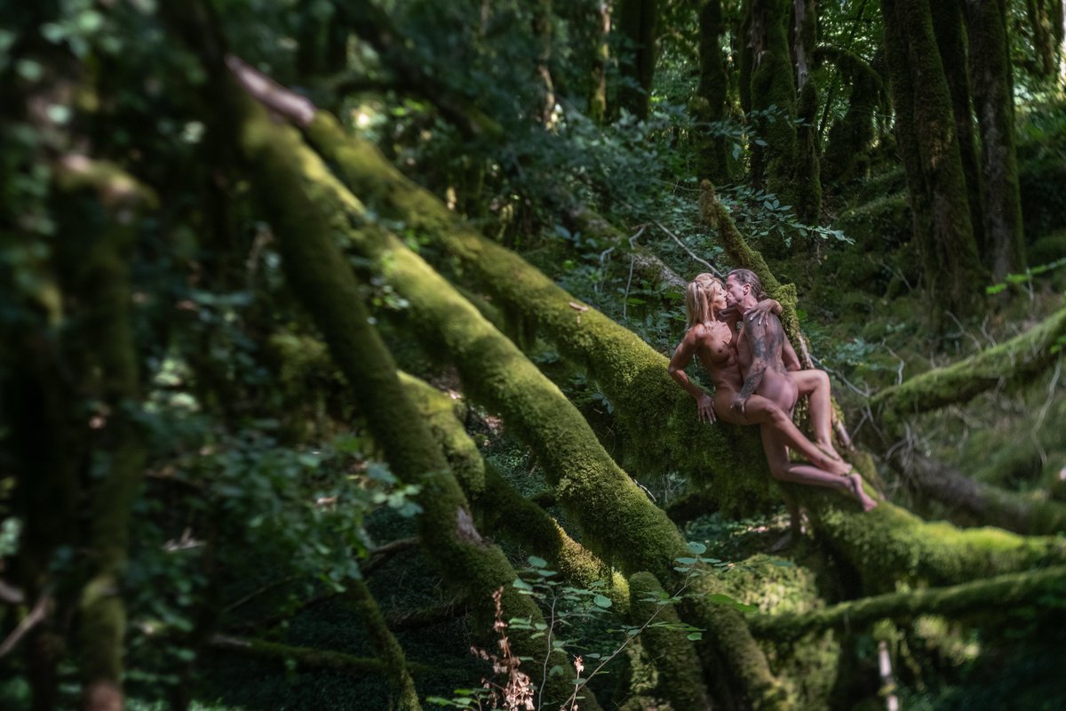 Flou sentimental tweet media