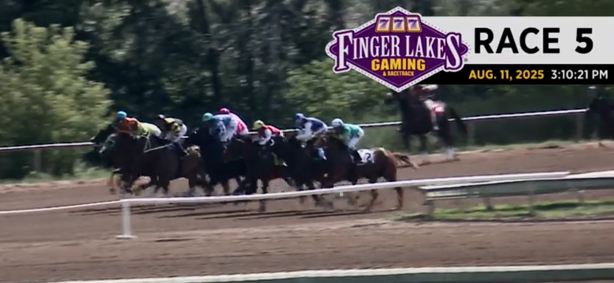 PaulMattiesJr's tweet image. In Finger Lakes 5th, the even money favorite at the OFF (3:10.21) lost his jockey at the break. He subsequently closed at 2-1. Every exacta probable with him on top increased their odds on the final flash.