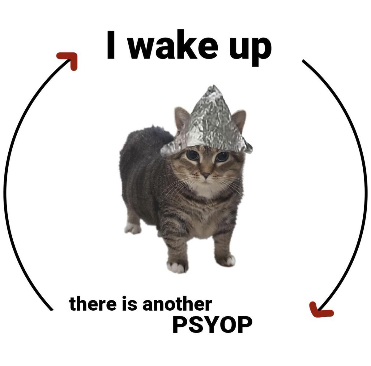 <a href="/RoundtableSpace/">0xMarioNawfal</a> @rovercrc You want high risk/reward?

#TinFoil for all the conspiracy nuts and those that like to debunk them

FtAXbmsB2UYEKHhSUw6RBbSSfvAiYVLB2C5tS5tPpump

Tin Foil Hat Cult