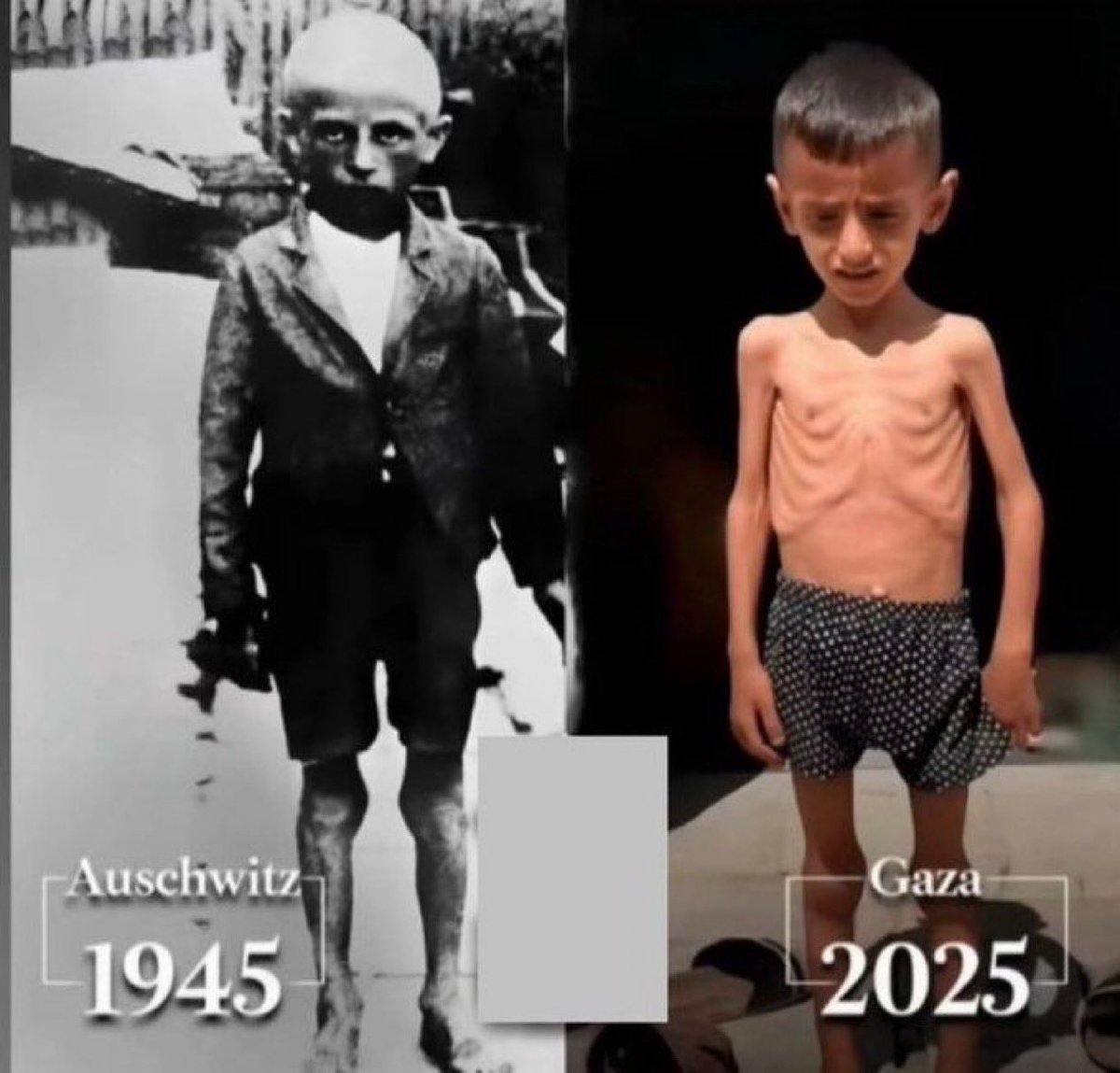 “En büyük zalimler, kafası kesilmemiş mazlumlar arasından çıkar. “